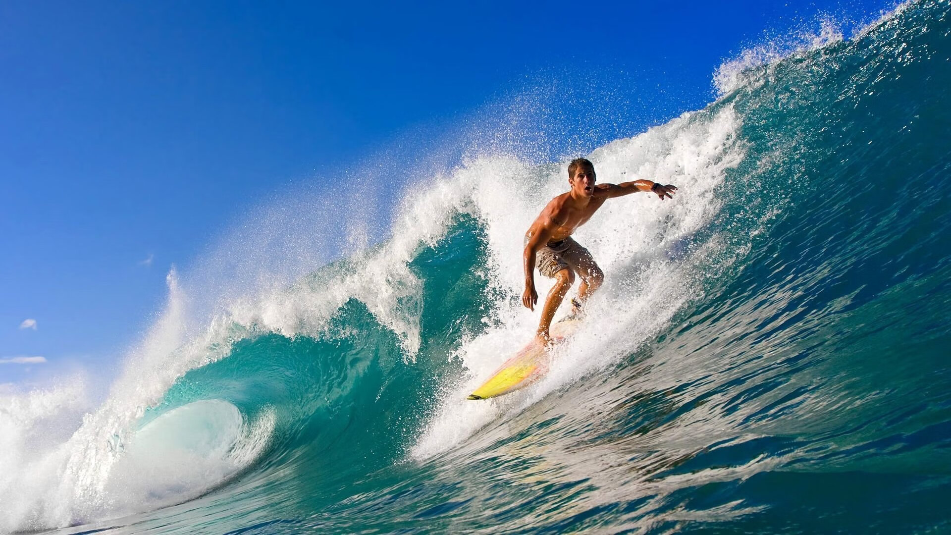 澳网2024,新星闪耀与传奇延续的激情碰撞